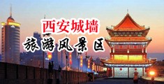 台湾淫av中国陕西-西安城墙旅游风景区